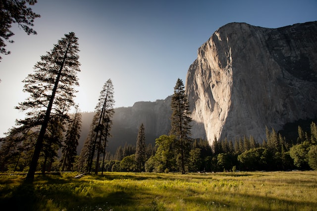 The sun shines on the mountains and trees (by Adam Kool on Unsplash)